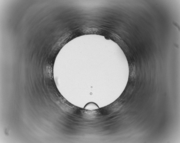 X0000102030669200808151343