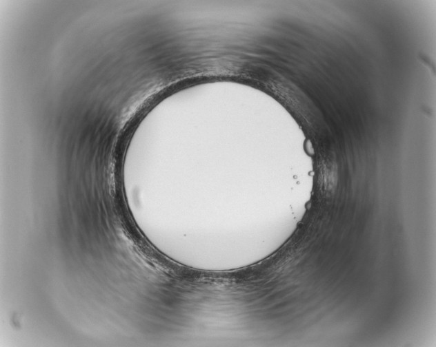 X0000102030676200808151342