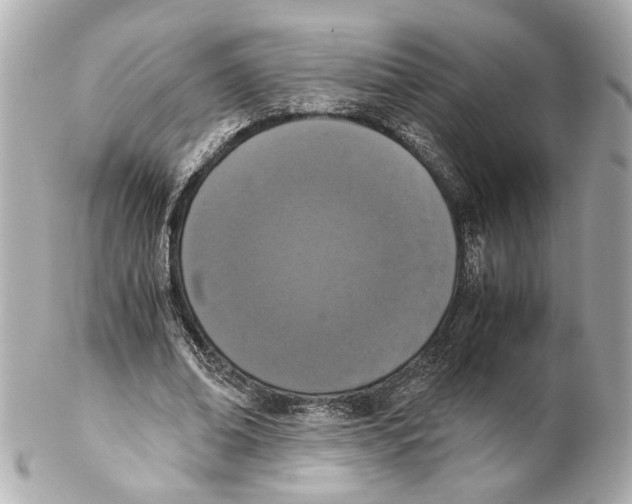 X0000102030678200808151342