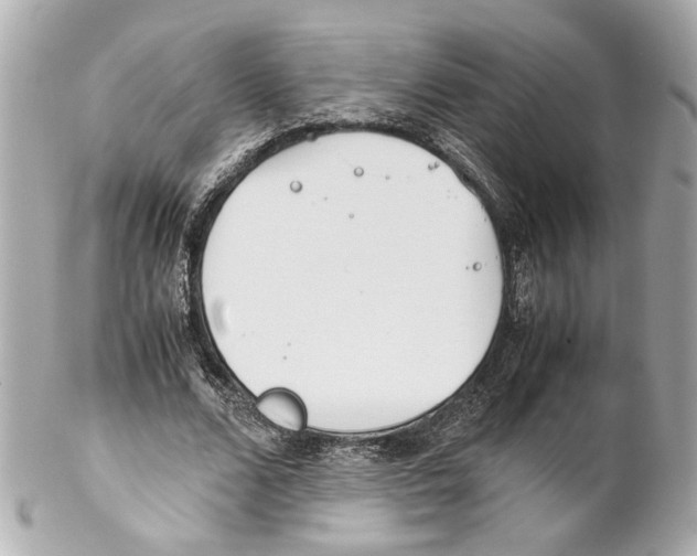 X0000102030680200808151342