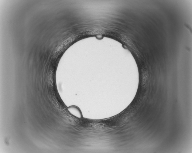 X0000102030681200808151342