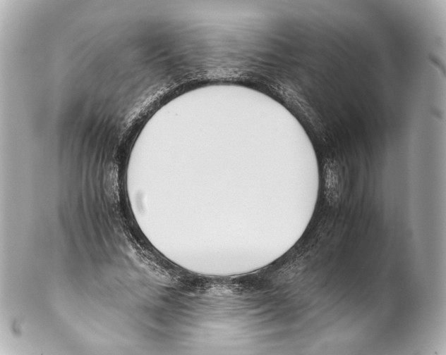 X0000102030684200808151342