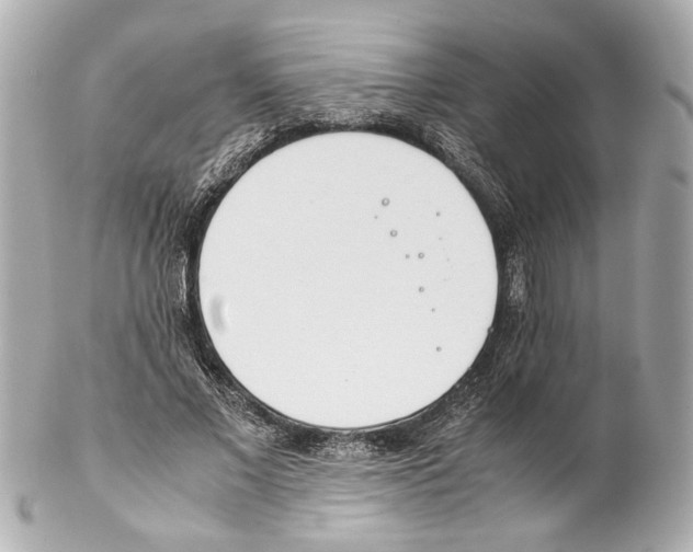 X0000102030685200808151342