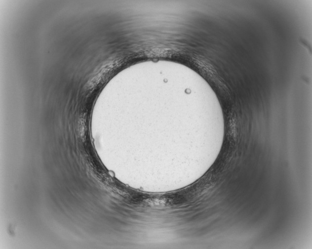 X0000102030687200808151342