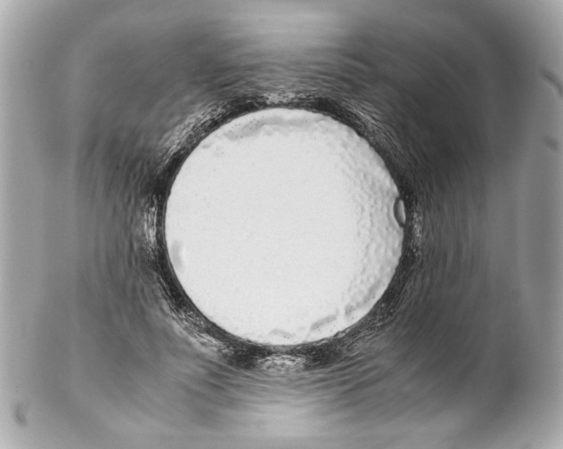 X0000102030691200808151342