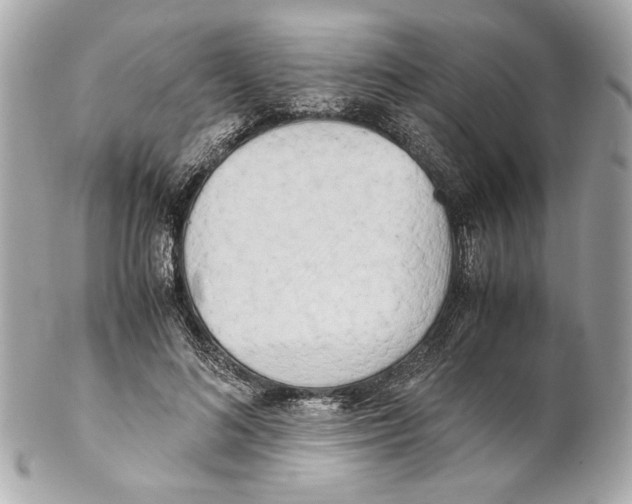 X0000102030692200808151342