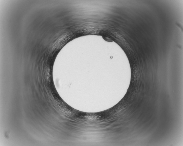 X0000102030693200808151342