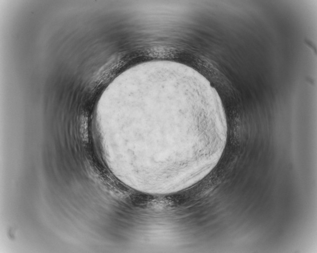 X0000102030696200808151342