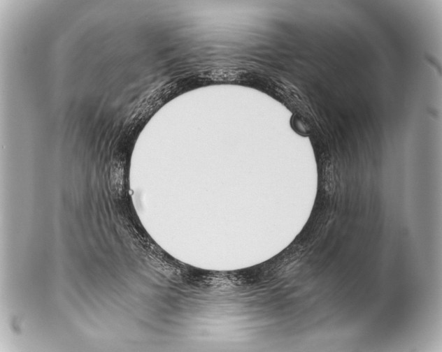 X0000102030697200808151341