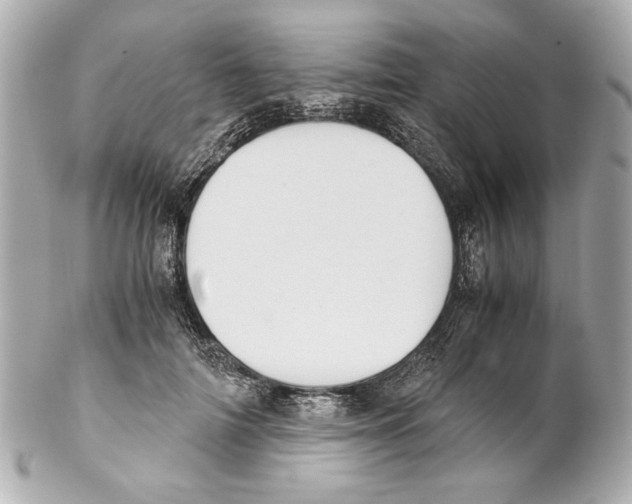 X0000102030698200808151341