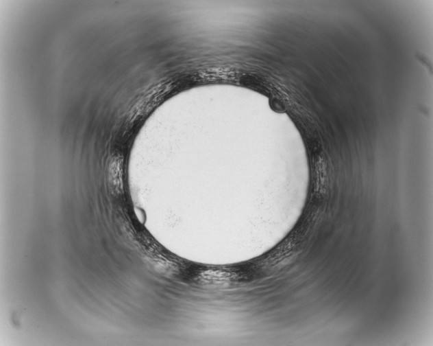 X0000102030699200808151341