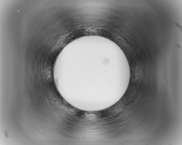 X0000102030706200808151341