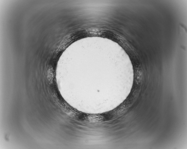 X0000102030707200808151341