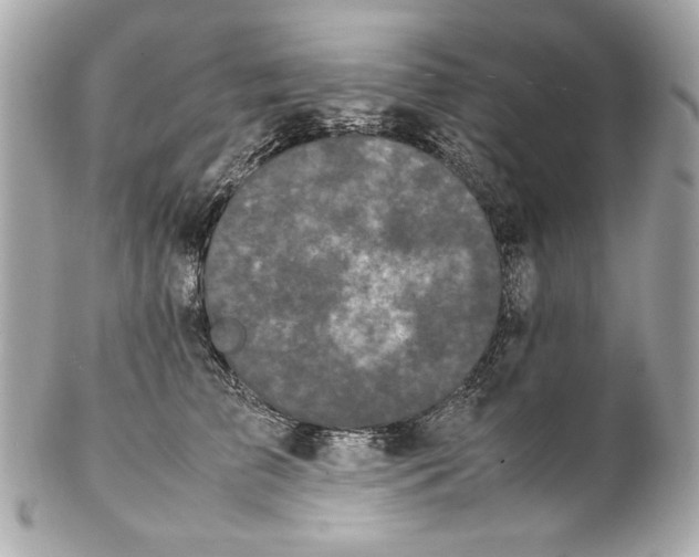 X0000102030709200808151341