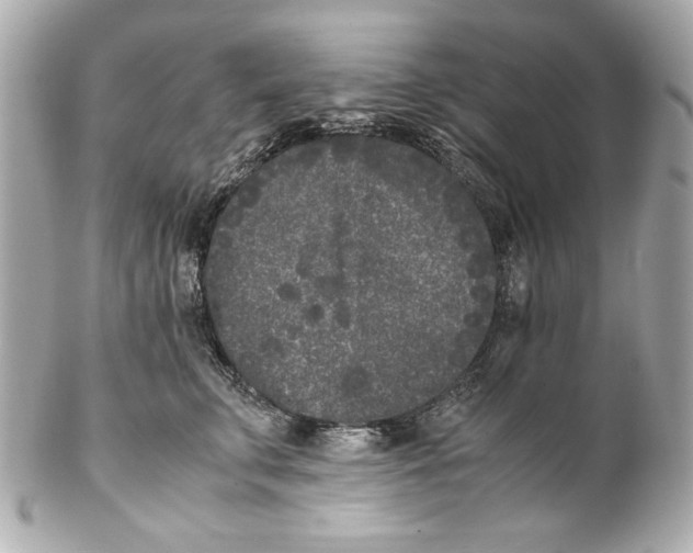 X0000102030711200808151341