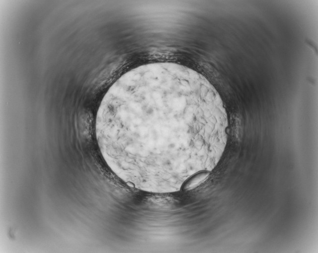 X0000102030712200808151341