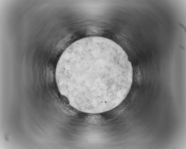 X0000102030716200808151341