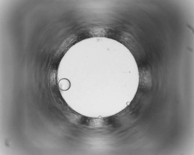 X0000102030717200808151341