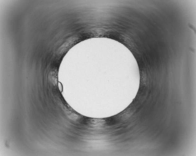 X0000102030719200808151341