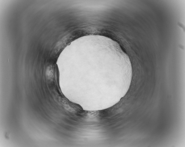 X0000102030720200808151341