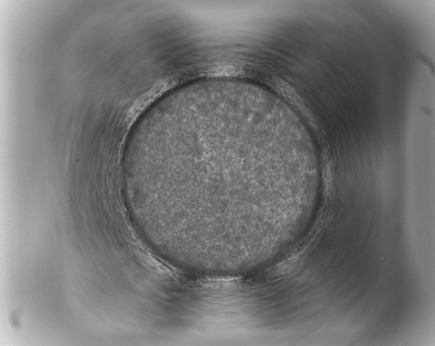 X0000102030721200808151340