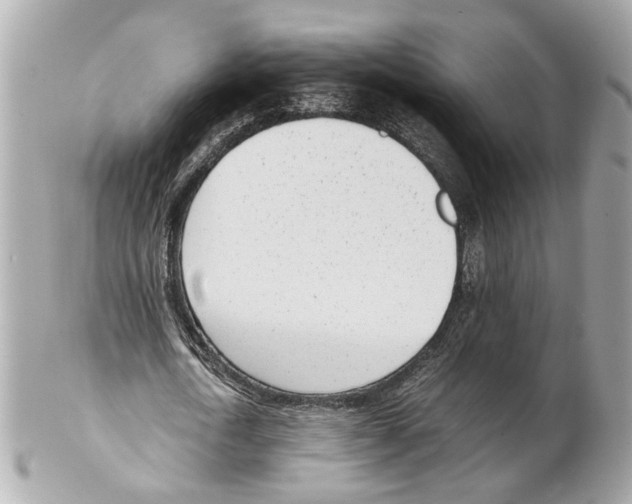 X0000102030722200808151340