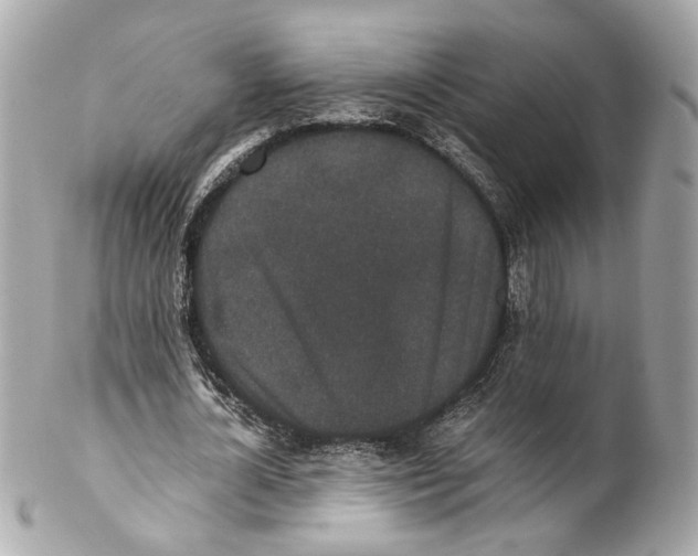 X0000102030724200808151341