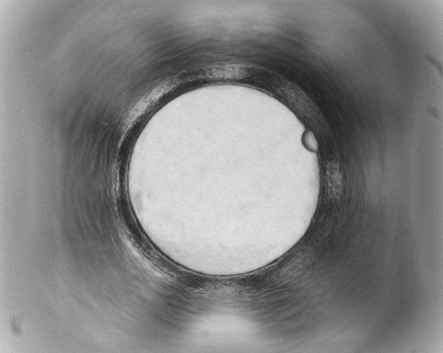 X0000102030726200808151341