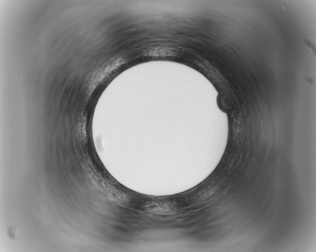 X0000102030727200808151341