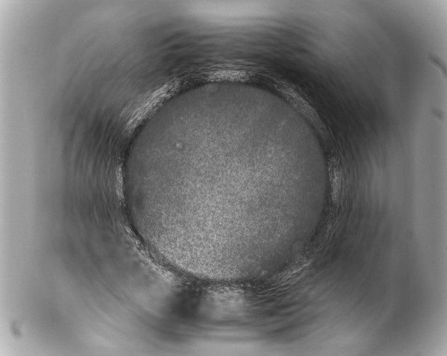 X0000102030729200808151341