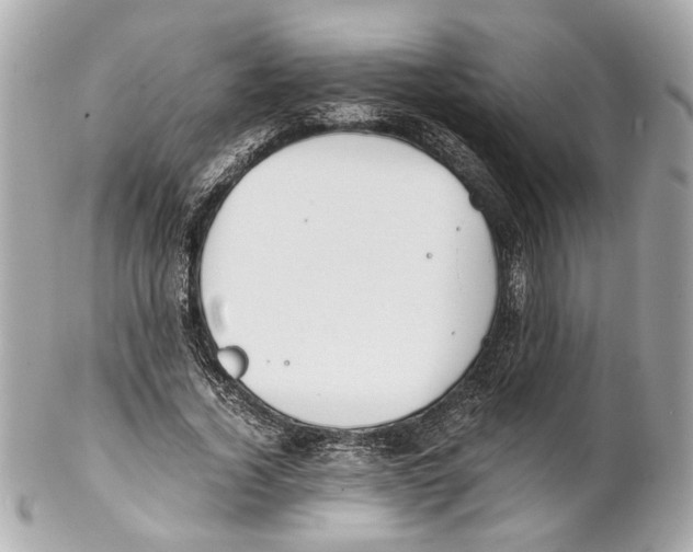 X0000102030732200808151341