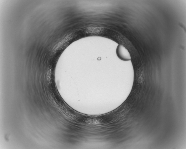 X0000102030735200808151341