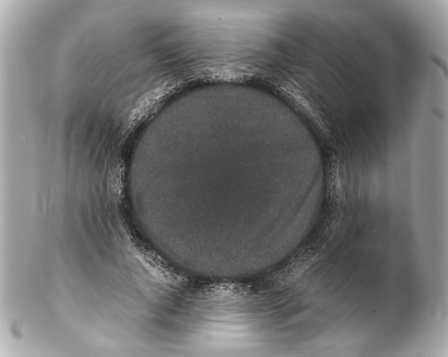 X0000102030736200808151341