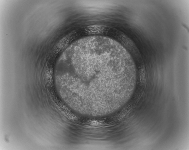 X0000102030737200808151341