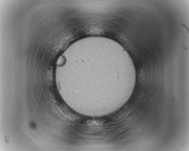 X0000102030739200808151341