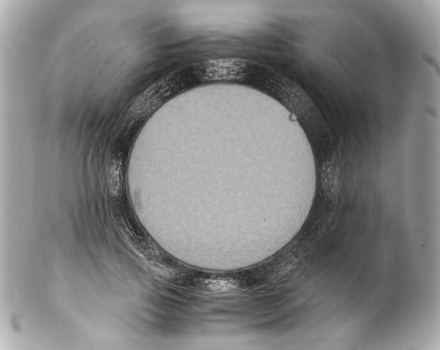 X0000102030741200808151341