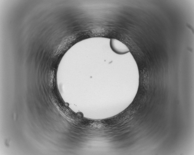 X0000102030742200808151341