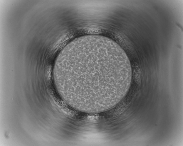 X0000102030744200808151341