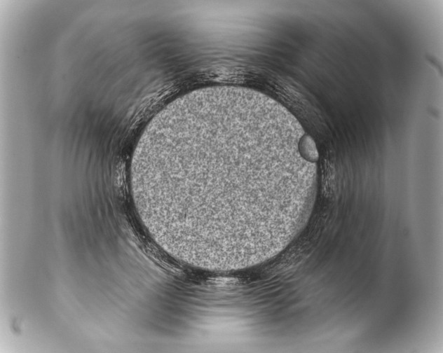 X0000102030748200808151341