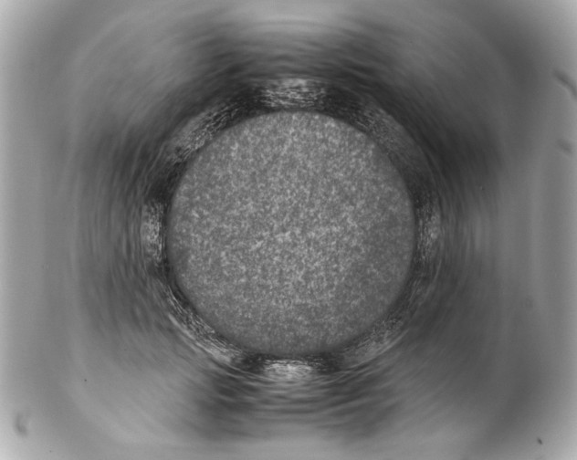 X0000102030749200808151341