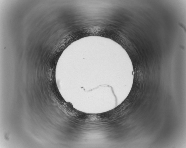 X0000102030750200808151341