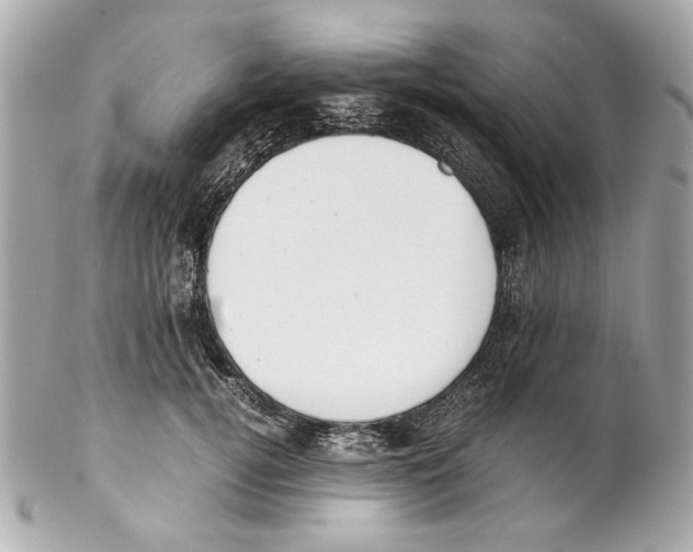 X0000102030752200808151341