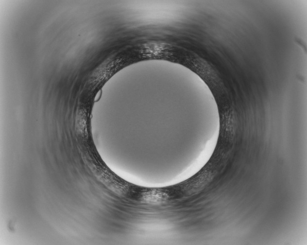 X0000102030754200808151341