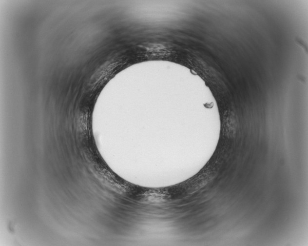 X0000102030756200808151341