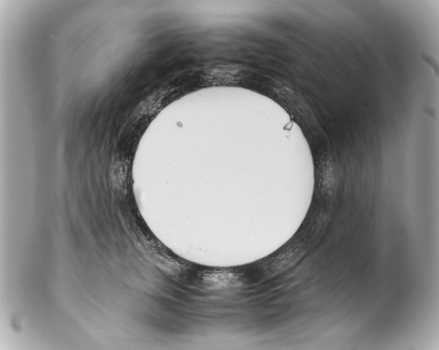 X0000102030759200808151341