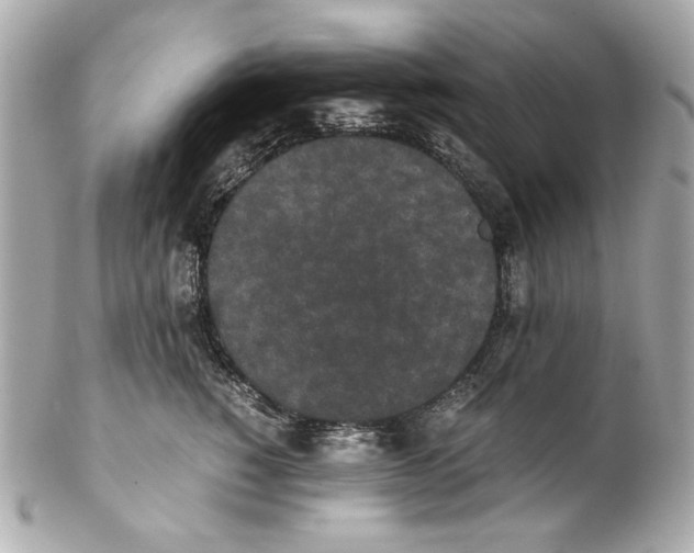 X0000102030760200808151341