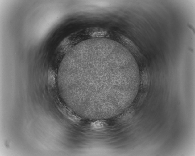 X0000102030761200808151341