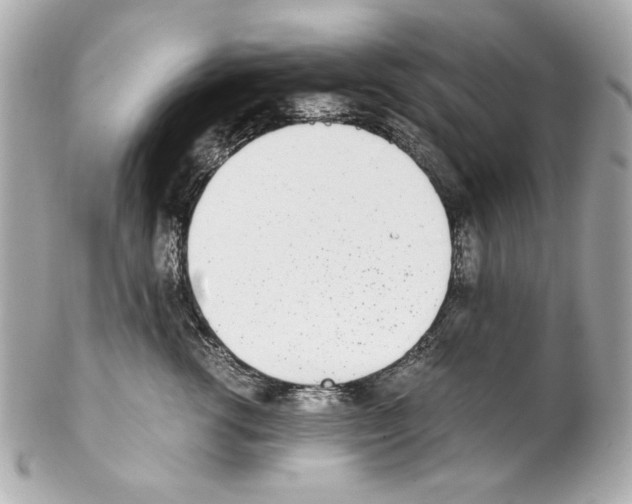 X0000102030762200808151341