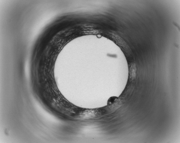 X0000102030764200808151341