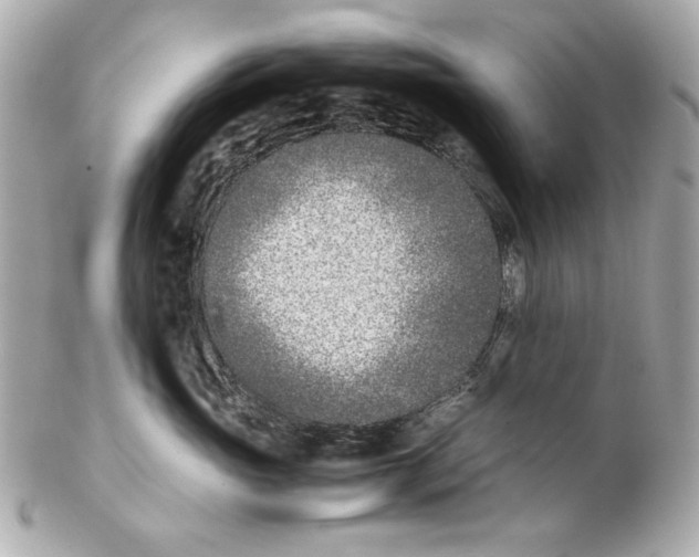 X0000102030765200808151341